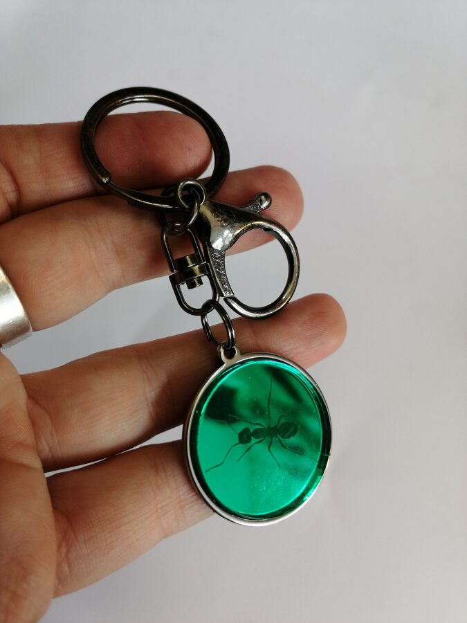 Atslēgu piekariņš ar organisko stiklu - zaļš - Skudra